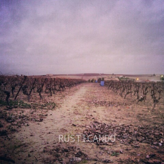 Rusticando pagos en Jerez de la Frontera