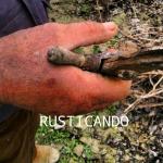 mano de podador en la denominacion de origen jerez