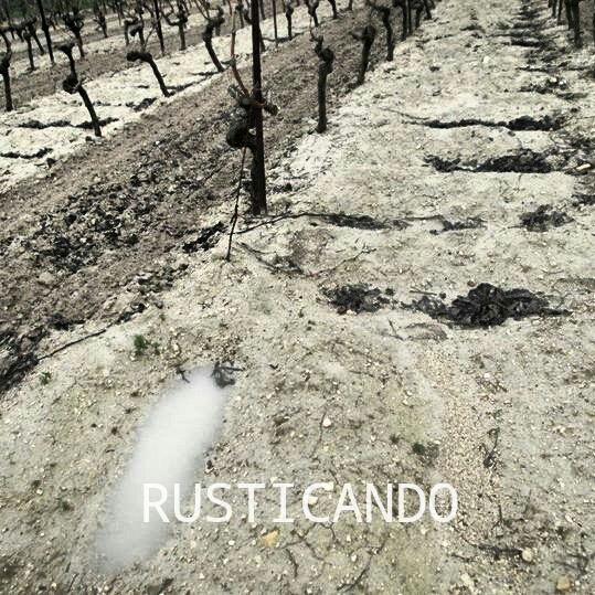 IMG_20140327_130759_wm