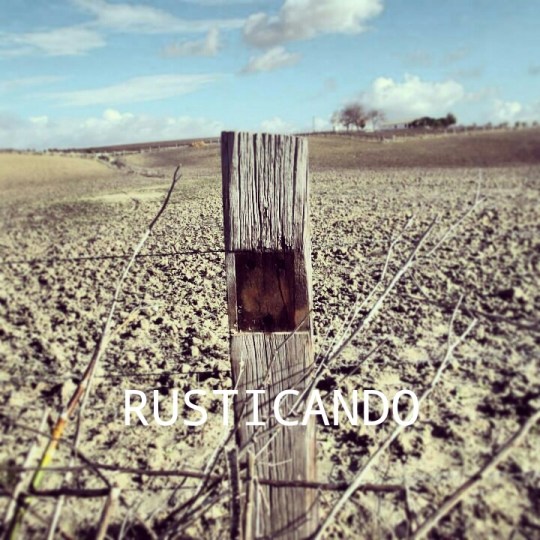 una traviesa del ferrocarril tren de sanlúcar a jerez a la altura de las tablas en cádiz