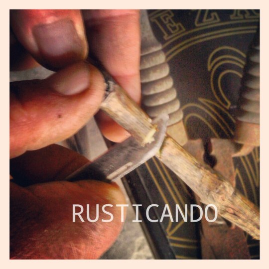 preparando un injerto en yema