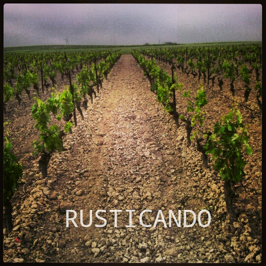 IMG_20140417_002658_wm