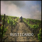 faenas de viña en jerez rusticando