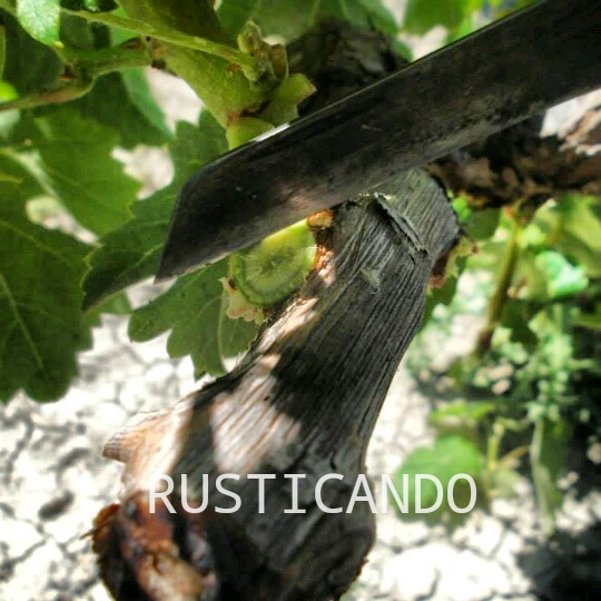 IMG_20140506_012059_wm