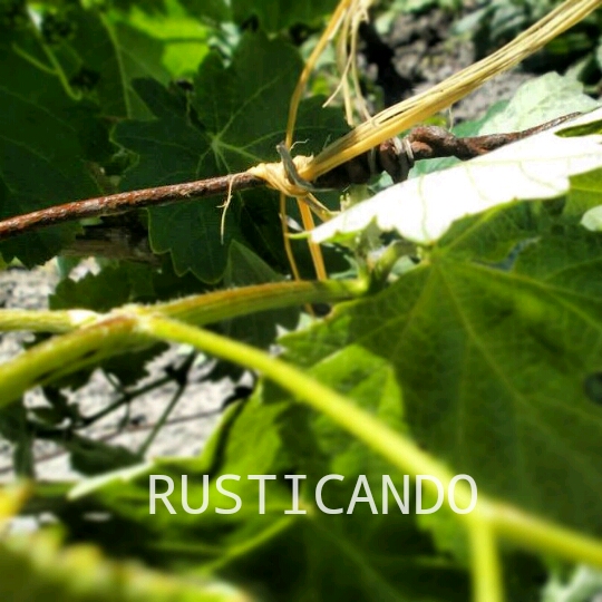 IMG_20140506_012907_wm