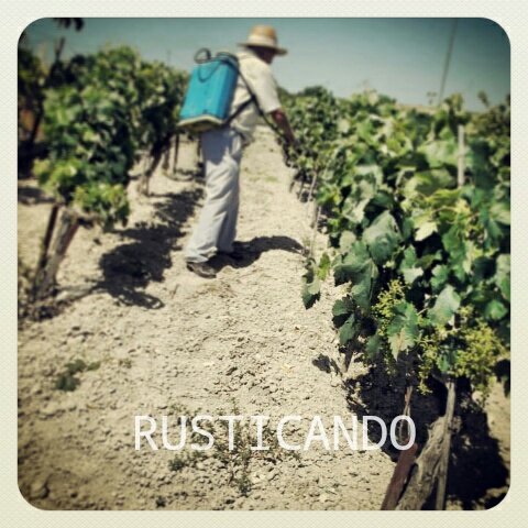 faena sulfatar viña