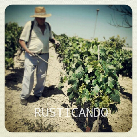 rusticando faena viña sulfatando