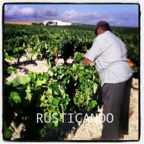 IMG_20140628_004127_wm