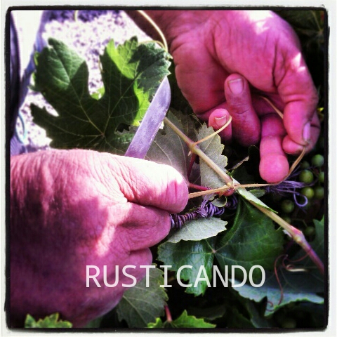 IMG_20140628_004504_wm