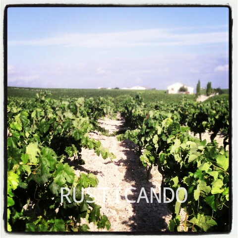 IMG_20140628_005030_wm