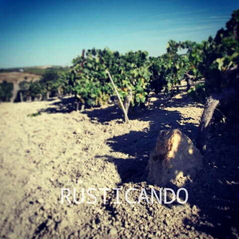 rusticando mojon de reguera