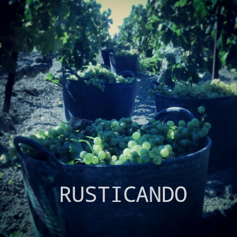 IMG_20140817_130321_wm