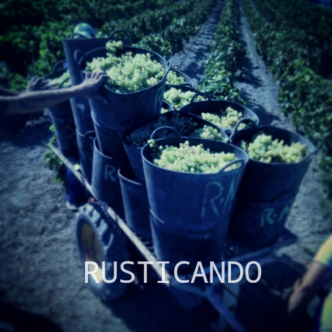 IMG_20140817_131102_wm