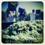 rusticando viñedo jerez sherry faenas