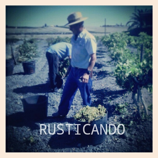 rusticando vendimia jerez sanlúcar 2014 05