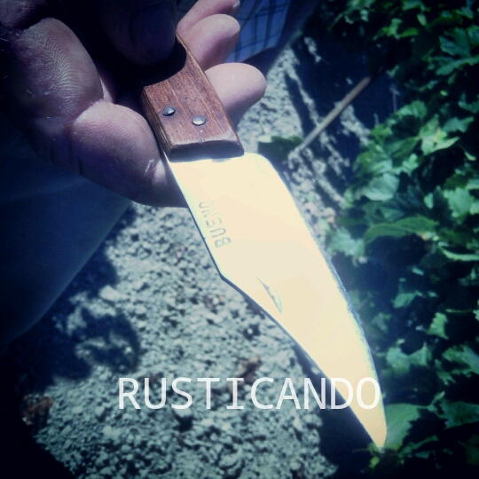 vendimia-tradicional-jerez-sherry-04