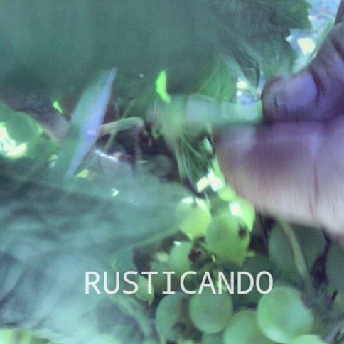 vendimia-tradicional-jerez-sherry-01