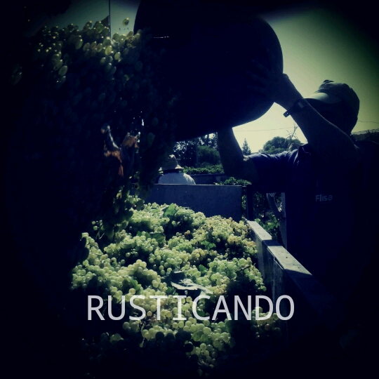 vendimia en jerez 2014