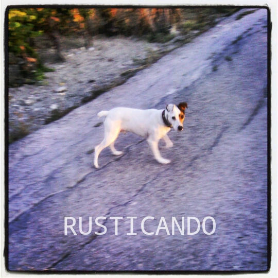 IMG_20140831_011547_wm