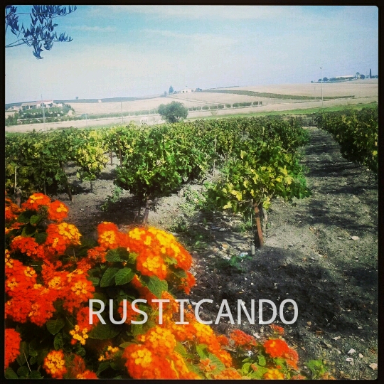 IMG_20141109_224436_wm