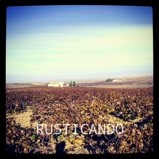 IMG_20141130_160414_wm